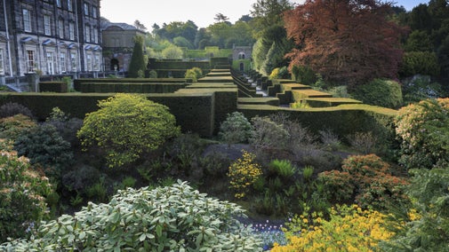 View looking over the manicured yew hedges of the Parterre and Dahlia Walk at Biddulph, Staffordshire